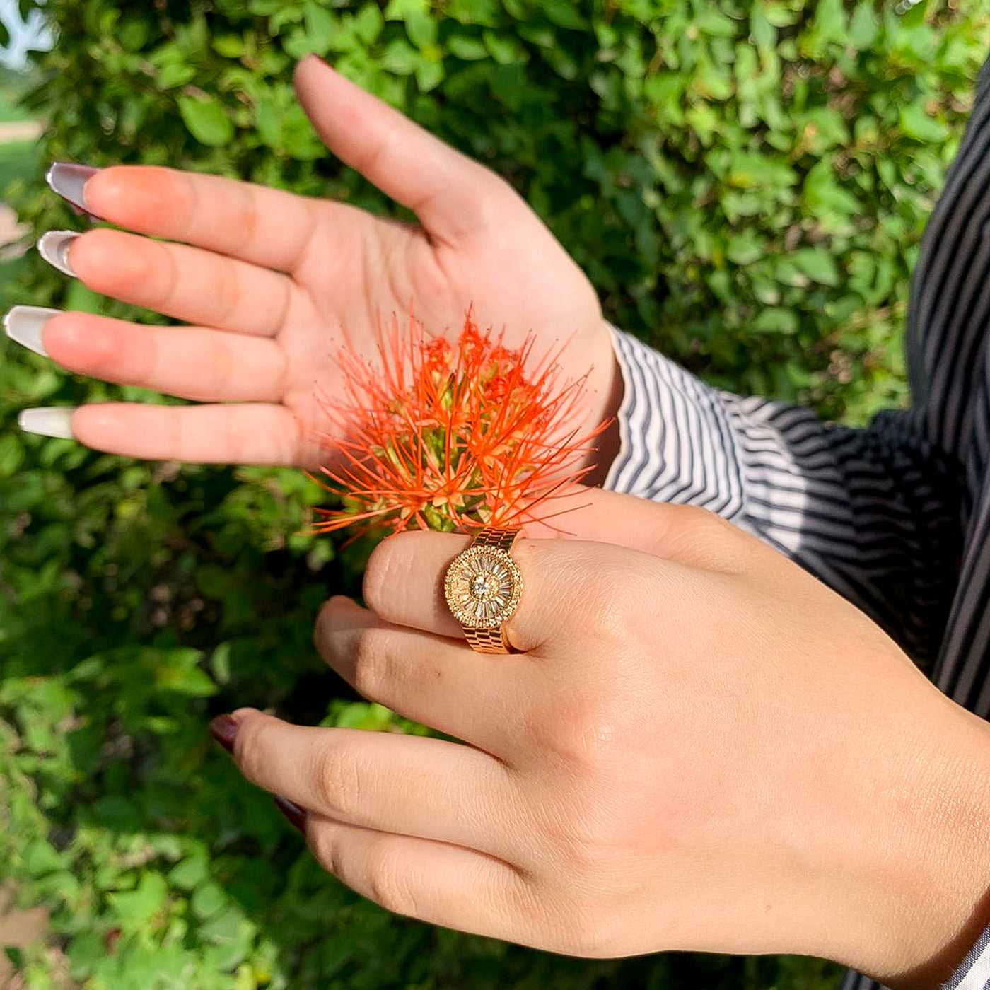 Golden Watch Face Zircon Ring